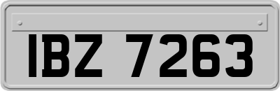 IBZ7263