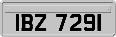 IBZ7291