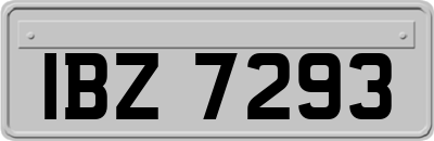 IBZ7293