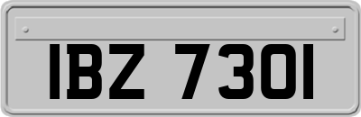 IBZ7301