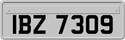 IBZ7309