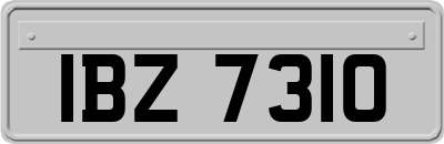 IBZ7310