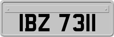 IBZ7311