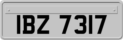 IBZ7317