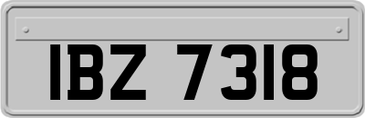 IBZ7318