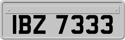 IBZ7333