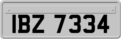 IBZ7334
