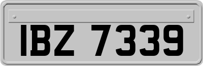 IBZ7339