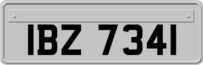 IBZ7341