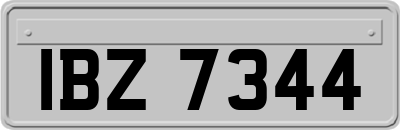 IBZ7344