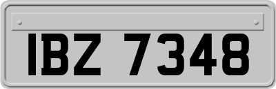 IBZ7348
