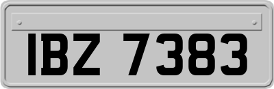 IBZ7383