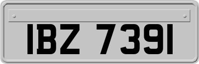 IBZ7391