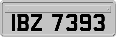 IBZ7393