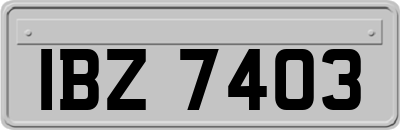 IBZ7403