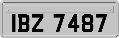 IBZ7487