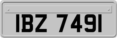 IBZ7491