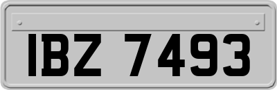 IBZ7493