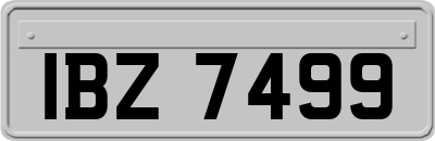 IBZ7499