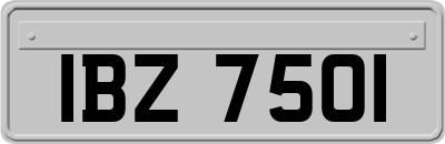 IBZ7501