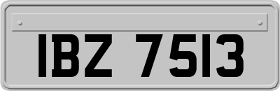 IBZ7513