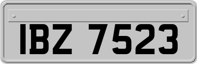 IBZ7523