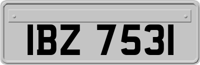 IBZ7531