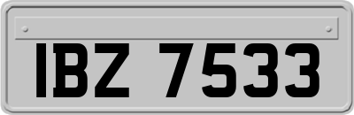 IBZ7533