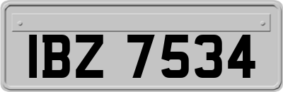 IBZ7534