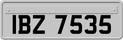IBZ7535