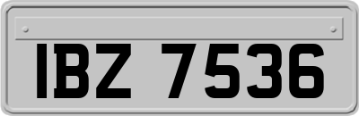 IBZ7536