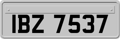 IBZ7537