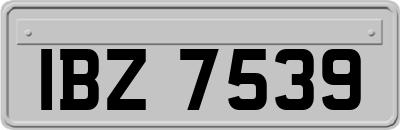 IBZ7539