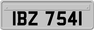 IBZ7541