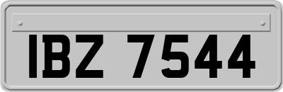 IBZ7544