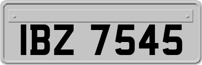 IBZ7545