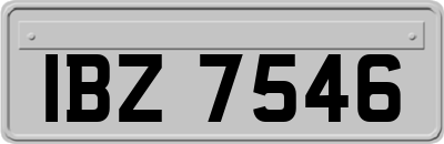 IBZ7546