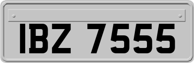 IBZ7555
