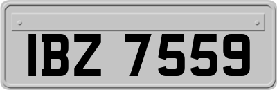IBZ7559