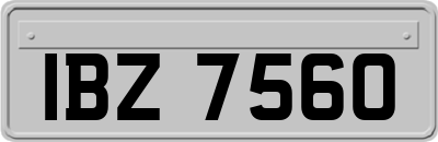 IBZ7560