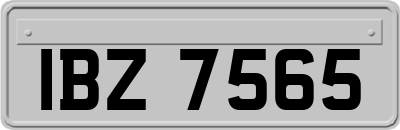 IBZ7565