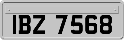 IBZ7568