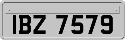 IBZ7579