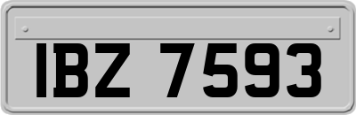 IBZ7593