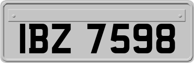 IBZ7598