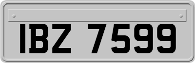 IBZ7599