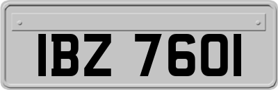 IBZ7601