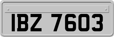 IBZ7603