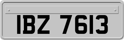 IBZ7613