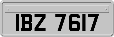 IBZ7617